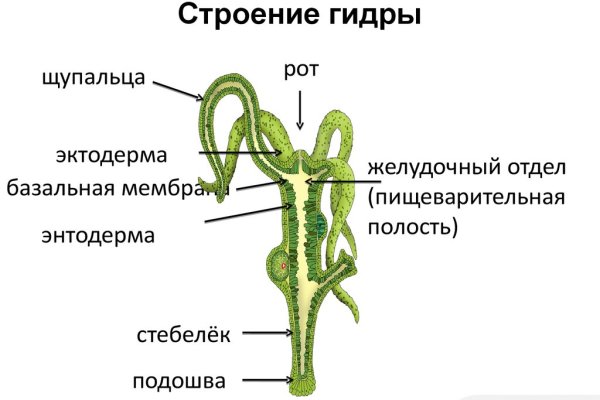 Активная ссылка на кракен