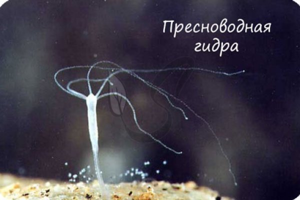 Kra46.cc Вход на сайт главная страница
