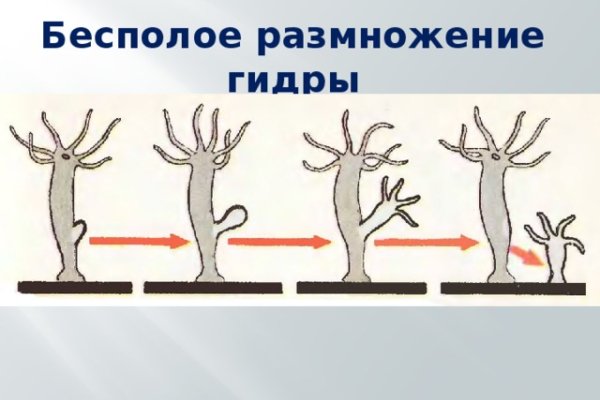 Кракен маркетплейс ссылка krakenat2krnkrnk com