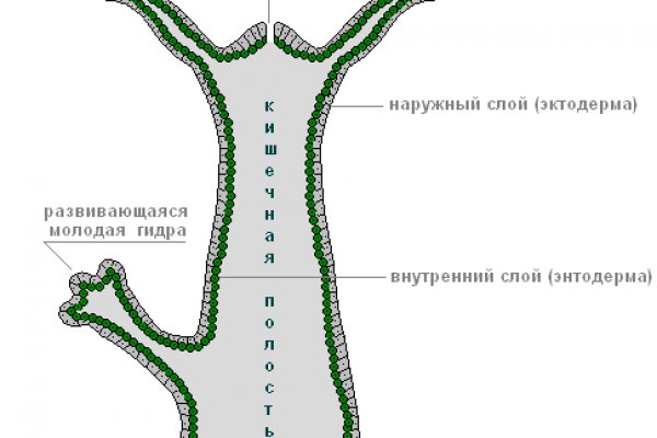 Оригинальный сайт кракен
