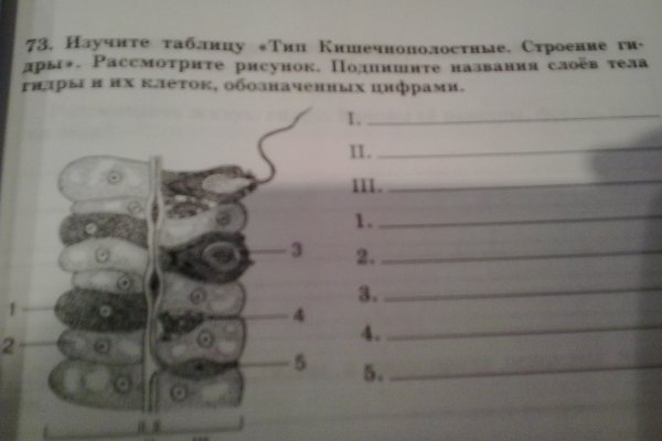 Дарк нет кракен