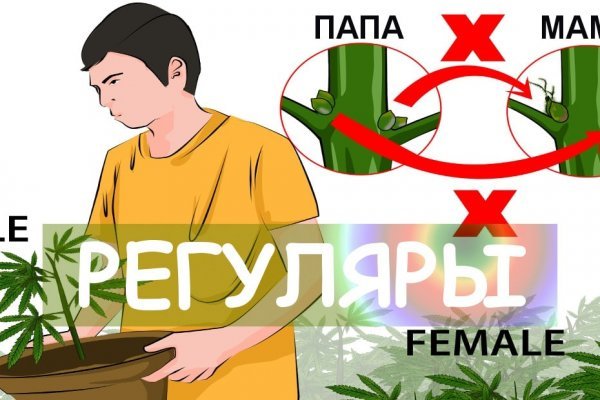 Какая ссылка у кракена