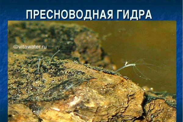 Как выйти на кракен