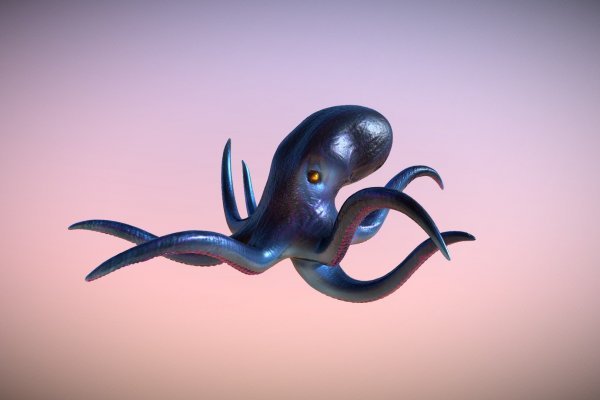 Kraken 12 at
